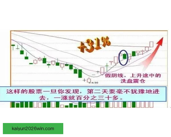 世界杯买球盘口解析全面指南助你精准预测比赛走势